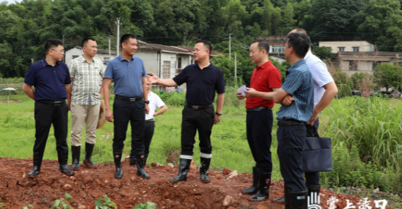 李晓彤调研督导卫片执法图斑整改工作