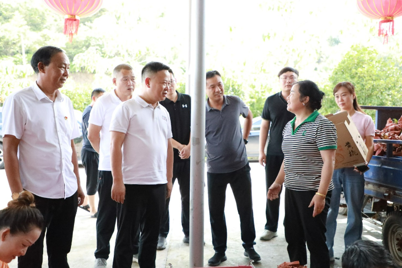 李晓彤到王家洲村调研村集体经济、结亲式养老服务、幸福屋场建设等工作