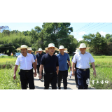 李晓彤到渌口镇、古岳峰镇督导抗旱工作