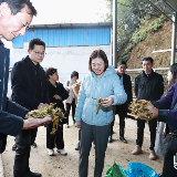 赖晓智到龙潭镇调研近期重点工作