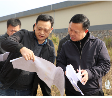 李晓彤调研南洲集团闲置、低效土地和房屋资产盘活工作
