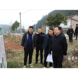 李晓彤到多个镇村调研农业农村工作