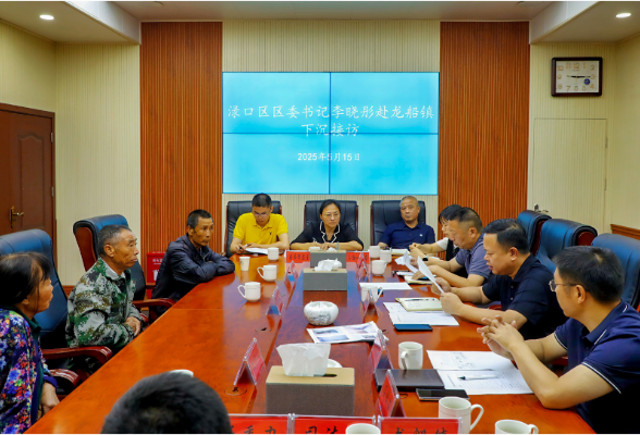 李晓彤赴龙船镇下沉接访并调研基层治理工作