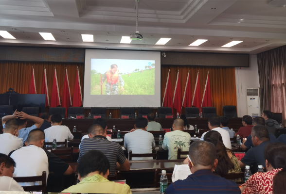 筑牢防汛“安全堤”！南洲镇开展巡堤查险技术培训与实战演练