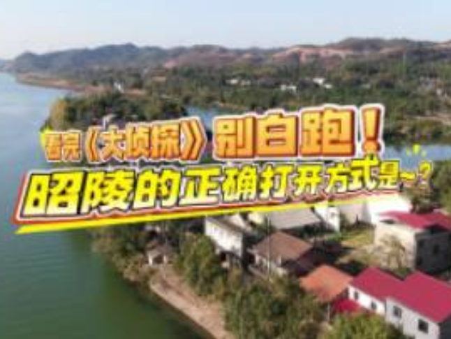 【新春走基层】看完《大侦探》别白跑！昭陵的正确打开方式是~？