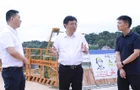 陈交云调研督导度汛安全及端午假期城市运行保障工作