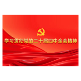 南洲镇深入学习贯彻党的二十届四中全会精神感悟