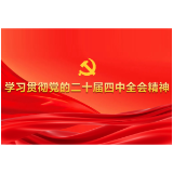 朱亭镇深入学习贯彻党的二十届四中全会精神感悟