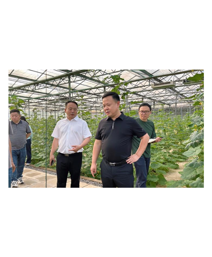 李晓彤调研亚热带果蔬特色产业发展情况