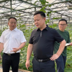 李晓彤调研亚热带果蔬特色产业发展情况