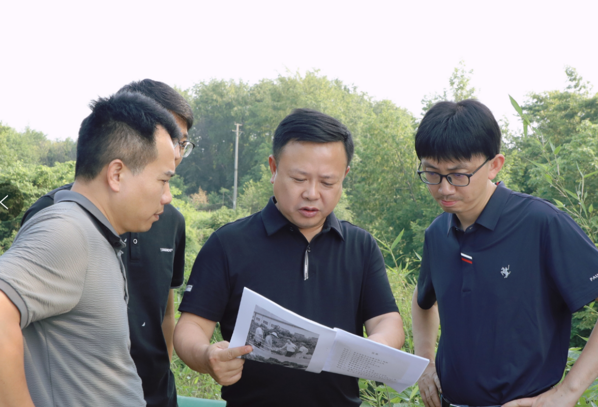 李晓彤现场调研渌口区湘江入河排污口整治工作