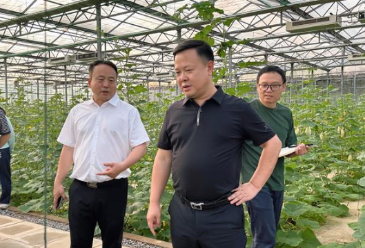 李晓彤调研亚热带果蔬特色产业发展情况