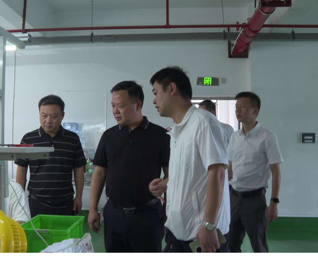 李晓彤带队调研四上企业培育工作