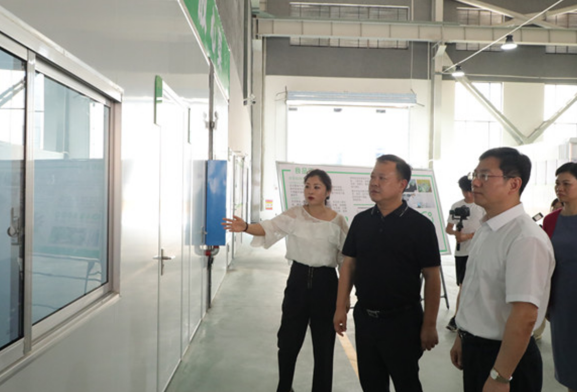 聚焦校园餐安全 李晓彤带队考察渌口集采集配中心