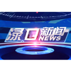 2025年6月12日渌口新闻