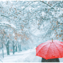 株洲还将维持“冰冻模式”，升温就在......