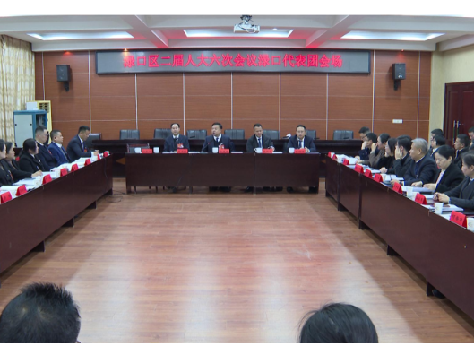 【聚焦渌口两会】李晓彤参加株洲市渌口区第二届人民代表大会第六次会议渌口代表团分团审议