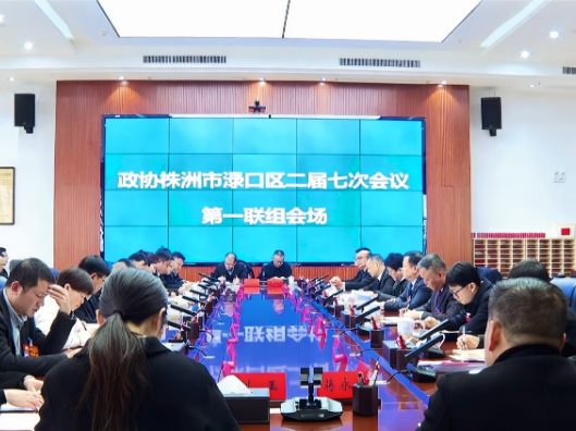 【聚焦渌口两会】李晓彤参加政协株洲市渌口区第二届委员会第七次会议第一联组讨论