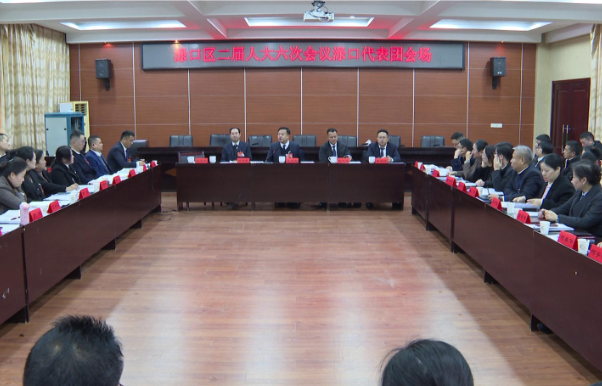 【聚焦渌口两会】李晓彤参加株洲市渌口区第二届人民代表大会第六次会议渌口代表团分团审议
