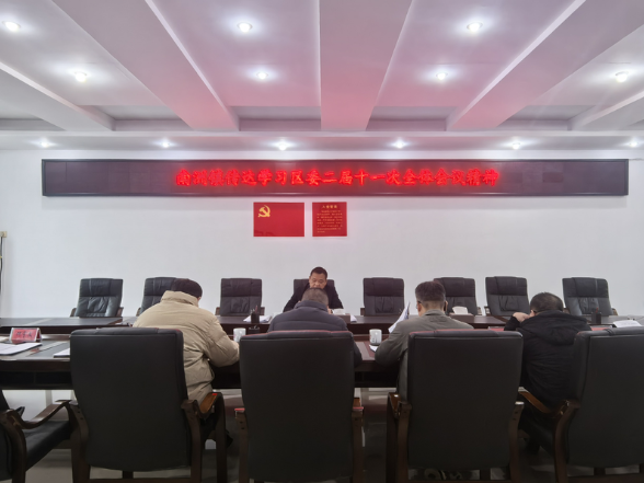 南洲镇传达学习区委二届十一次全会精神