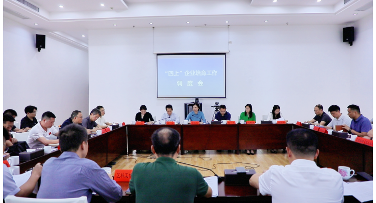 赖晓智主持召开“四上”企业培育工作调度会