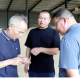 省级农机安全生产交叉检查组来渌口区检查指导