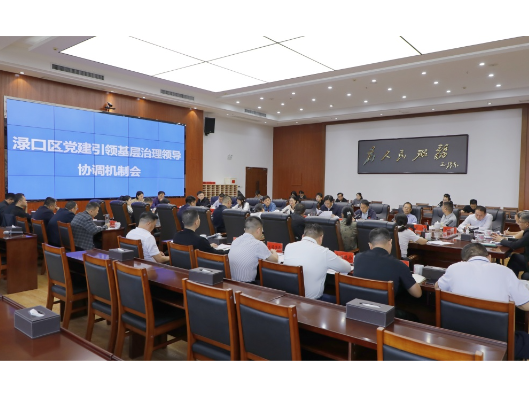 渌口区党建引领基层治理领导协调机制会议召开
