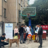 党群连心，守护萌宠！朱亭镇古镇社区开展免费犬只狂犬疫苗接种活动