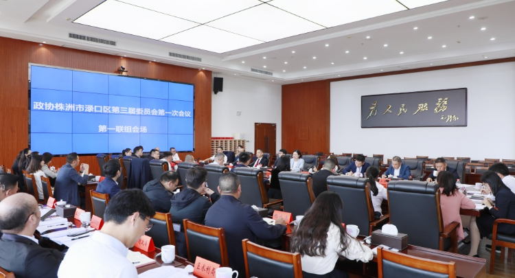【渌口两会进行时】赖晓智参加政协株洲市渌口区第三届委员会第一次会议第一联组讨论