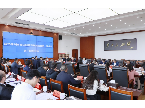【渌口两会进行时】赖晓智参加政协株洲市渌口区第三届委员会第一次会议第一联组讨论