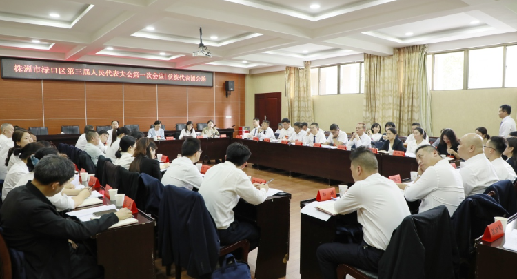 【渌口两会进行时】赖晓智参加区三届人大一次会议分组讨论
