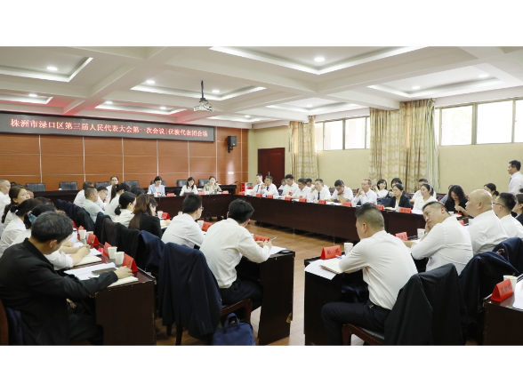 【渌口两会进行时】赖晓智参加区三届人大一次会议分组讨论