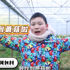 渌厨大赛 · 我到渌口吃大席 | 龙船镇：黄辣椒好吃 我要带回家！