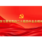 推进数字文化出海行稳致远