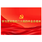 更加坚决有力地贯彻落实党中央重大决策部署（深入学习贯彻习近平新时代中国特色社会主义思想）