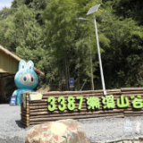 壹渌向溪・3387溯溪山谷获评株洲四星级乡村旅游区