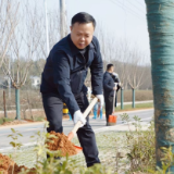 渌口区开展义务植树活动 为王家洲乡村美术馆添新景