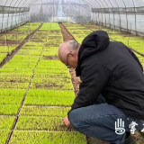 春启耕忙正当时 朱亭镇全力推进春耕生产工作