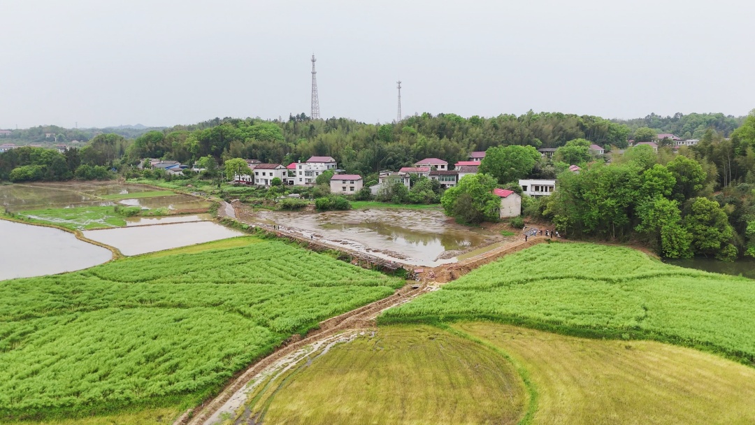 DJI_20260411121247_0465_D[00-00-00][20260410-150430631] (1).jpg