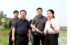 李晓彤督导春耕生产工作 强调以现代农业理念夯实粮食安全根基