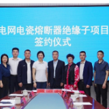 成功签约电网电瓷熔断器绝缘子项目 渌口新能源产业再添生力军