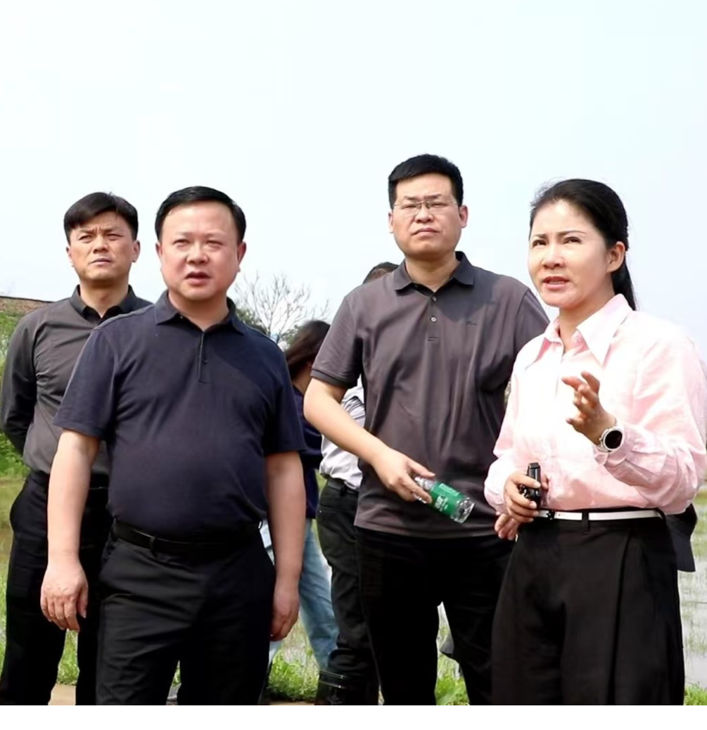 李晓彤督导春耕生产工作 强调以现代农业理念夯实粮食安全根基