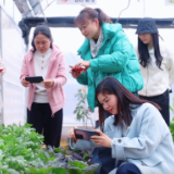 【历届渌商大会项目成果展播】归巢为笔 沃野为卷 渌商大会写下农文旅三行新诗