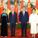 习近平同越共中央总书记、国家主席苏林举行会谈