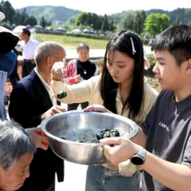 便民服务、美食体验、宝藏阵地全免费——龙潭镇“党群集中活动日”在砖桥村启动