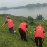 党建引领筑防线 防汛砍青保平安!南洲镇组织开展防汛砍青主题党日活动