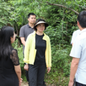 赖晓智到镇村调研高标准农田建设工作