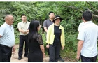 赖晓智到镇村调研高标准农田建设工作