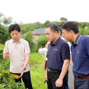 永州市政协一行来渌口区调研农业绿色转型相关工作