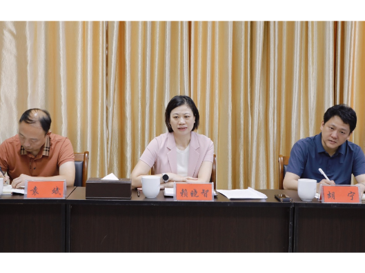 赖晓智走访调研区委常委部门